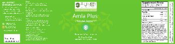 R-U-Ved Amla Plus - nondairy supplement