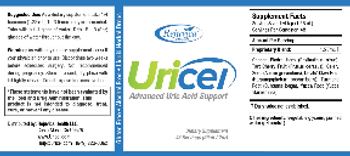 Rejuvica Health Uricel - supplement