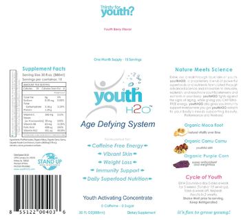ReVival Labs youthH2O Age Defying System Youth Berry Flavor - supplement