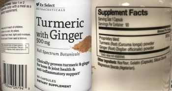 Rx Select Nutraceuticals Turmeric with Ginger 500 mg - supplement
