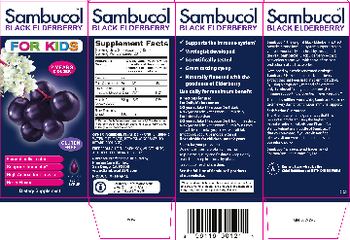 Sambucol Black Elderberry For Kids - supplement