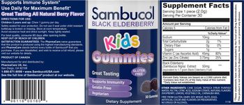 Sambucol Black Elderberry Kids Gummies - supplement