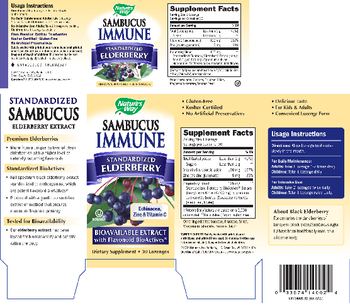 Sambucus Sambucus Immune Lozenges - supplement
