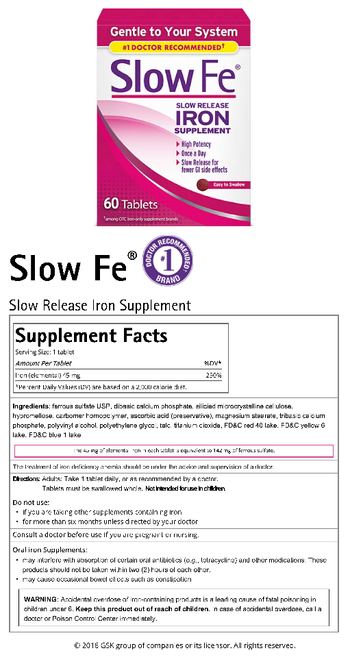 Slow Fe Slow Release Iron Supplement - supplement