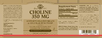 Solgar Choline 350 mg - supplement