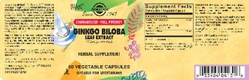 Solgar Ginkgo Biloba Leaf Extract - herbal supplement