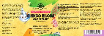 Solgar Ginkgo Biloba Leaf Extract - herbal supplement