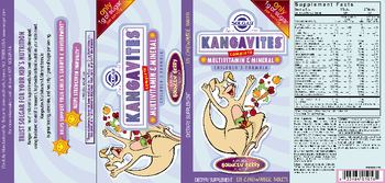 Solgar Kangavites Complete Multivitamin & Mineral Natural Bouncin' Berry Flavor - supplement