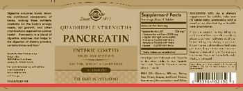 Solgar Quadruple Strength Pancreatin - supplement
