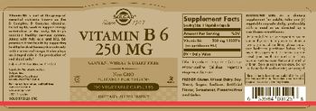 Solgar Vitamin B6 250 mg - supplement