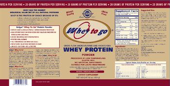 Solgar Whey To Go Protein Powder Chocolate - supplement