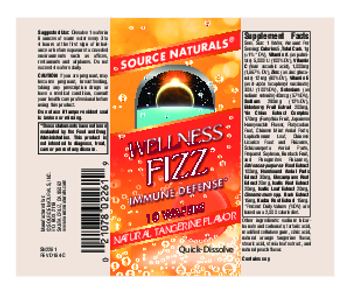 Source Naturals Wellness Fizz Natural Tangerine Flavor - 