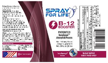 Spray For Life B-12 Booster Natural Berry Flavor - supplement