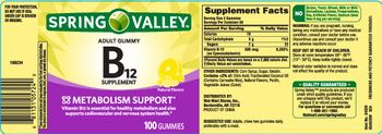 Spring Valley B12 Supplement Natural Flavors - b12 supplement