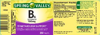 Spring Valley B6 100 mg - b6 supplement