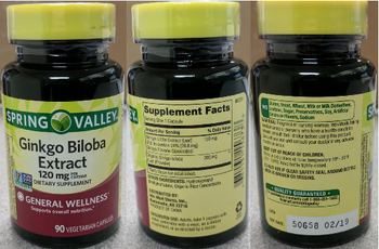 Spring Valley Ginkgo Biloba Extract 120 mg - supplement