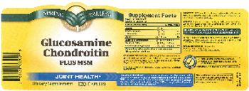 Spring Valley Glucosamine Chondroitin Plus MSM - supplement