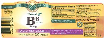 Spring Valley Natural B6 Vitamin 100 mg - supplement