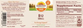 Sundown B12 500 mcg - vitamin supplement