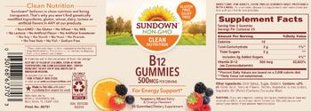 Sundown B12 Gummies 500 mcg - supplement