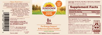 Sundown B6 100 mg - vitamin supplement