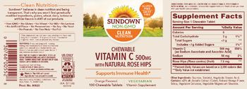 Sundown Chewable Vitamin C 500 mg Orange Flavored - vitamin supplement