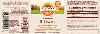 Sundown Dissolvable B12 5000 mcg Cherry Flavored - vitamin supplement