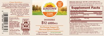 Sundown Dissolvable B12 6000 mcg Cherry Flavored - vitamin supplement