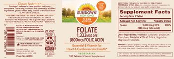 Sundown Folate 1,333 mcg DFE - vitamin supplement
