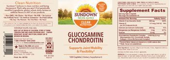 Sundown Glucosamine Chondroitin - supplement