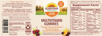 Sundown Multivitamin Gummies - supplement
