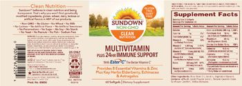 Sundown Multivitamin plus 24 HR Immune Support - supplement