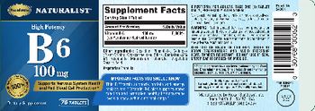 Sundown Naturalist High Potency B6 100 mg - supplement