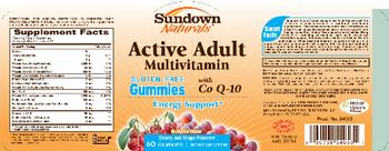 Sundown Naturals Active Adult Multivitamin Gummies with Co Q-10 - supplement