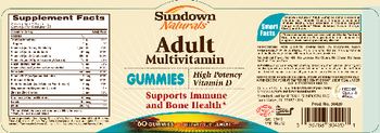 Sundown Naturals Adult Multivitamin Gummies - supplement