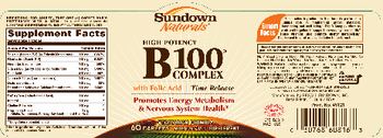 Sundown Naturals B100 Complex With Folic Acid - multivitamin supplement