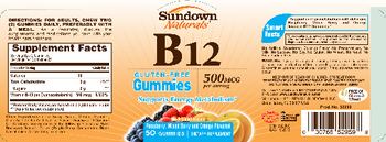 Sundown Naturals B12 - supplement
