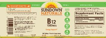 Sundown Naturals B12 1000 mcg - vitamin supplement
