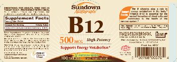 Sundown Naturals B12 500 mcg - vitamin supplement