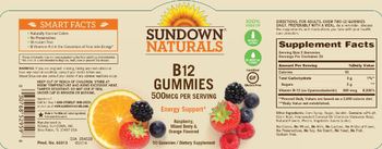 Sundown Naturals B12 Gummies 500 mcg - supplement