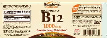 Sundown Naturals B12 - vitamin supplement