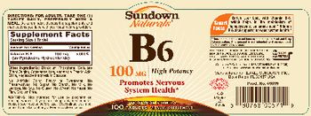 Sundown Naturals B6 100 mg - vitamin supplement