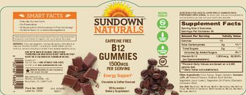 Sundown Naturals Caffeine Free B12 Gummies 1500 mcg - supplement