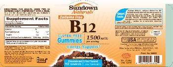 Sundown Naturals Caffeine Free B12 Gummies - supplement