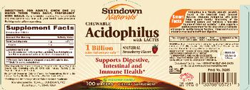 Sundown Naturals Chewable Acidophilus With Lactis Natural Strawberry Flavor - supplement