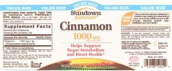 Sundown Naturals Cinnamon 1000 mg - supplement