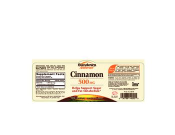 Sundown Naturals Cinnamon 500 mg - supplement