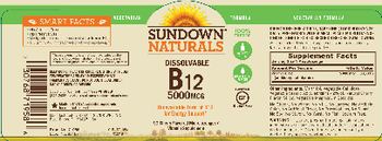 Sundown Naturals Dissolvable B12 5000 mcg Cherry Flavored - vitamin supplement