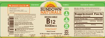 Sundown Naturals Dissolvable B12 6000 mcg Cherry Flavored - vitamin supplement