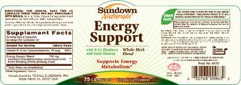 Sundown Naturals Energy Support - herbal supplement